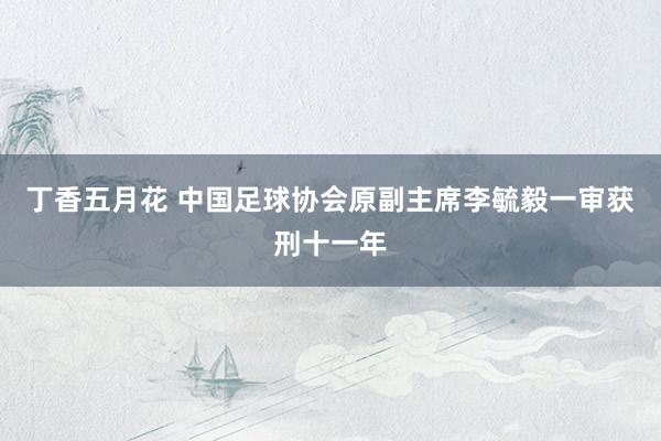 丁香五月花 中国足球协会原副主席李毓毅一审获刑十一年