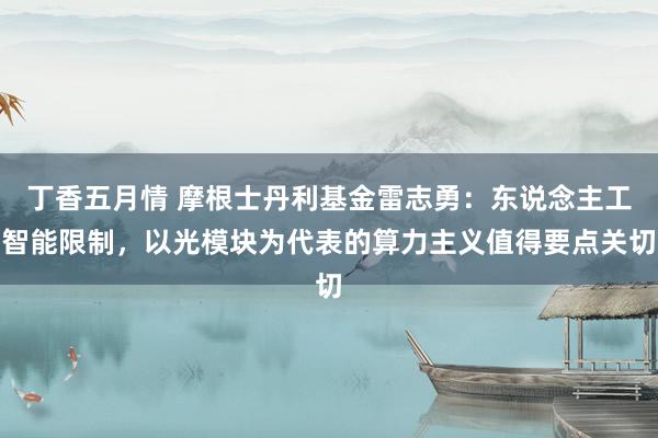 丁香五月情 摩根士丹利基金雷志勇：东说念主工智能限制，以光模块为代表的算力主义值得要点关切