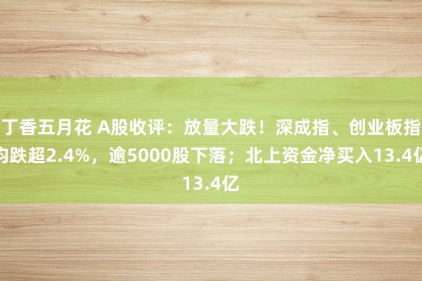 丁香五月花 A股收评：放量大跌！深成指、创业板指均跌超2.4%，逾5000股下落；北上资金净买入13.4亿
