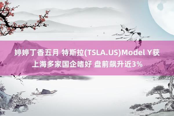 婷婷丁香五月 特斯拉(TSLA.US)Model Y获上海多家国企嗜好 盘前飙升近3%