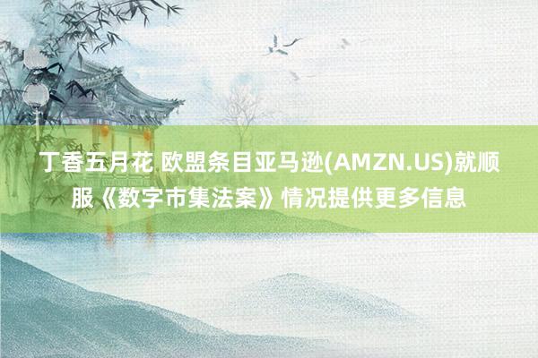丁香五月花 欧盟条目亚马逊(AMZN.US)就顺服《数字市集法案》情况提供更多信息