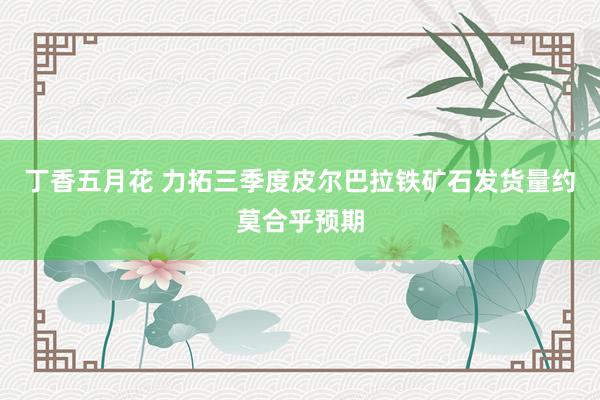 丁香五月花 力拓三季度皮尔巴拉铁矿石发货量约莫合乎预期