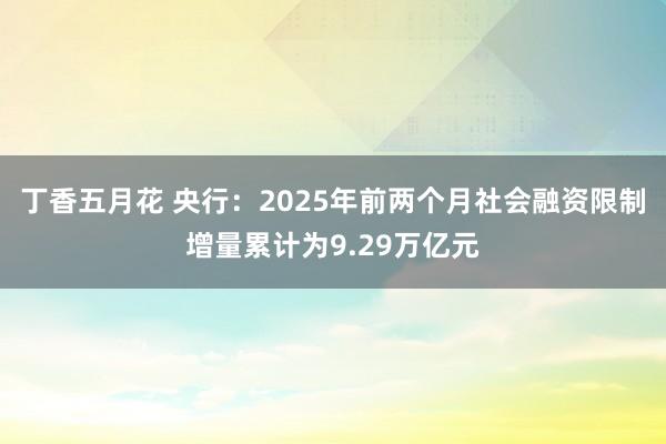 丁香五月花 央行：2025年前两个月社会融资限制增量累计为9.29万亿元
