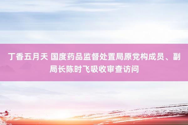 丁香五月天 国度药品监督处置局原党构成员、副局长陈时飞吸收审查访问