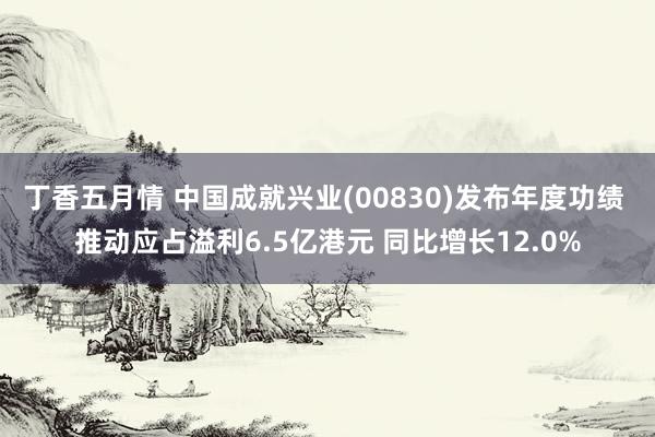 丁香五月情 中国成就兴业(00830)发布年度功绩 推动应占溢利6.5亿港元 同比增长12.0%