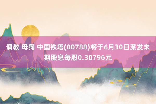 调教 母狗 中国铁塔(00788)将于6月30日派发末期股息每股0.30796元